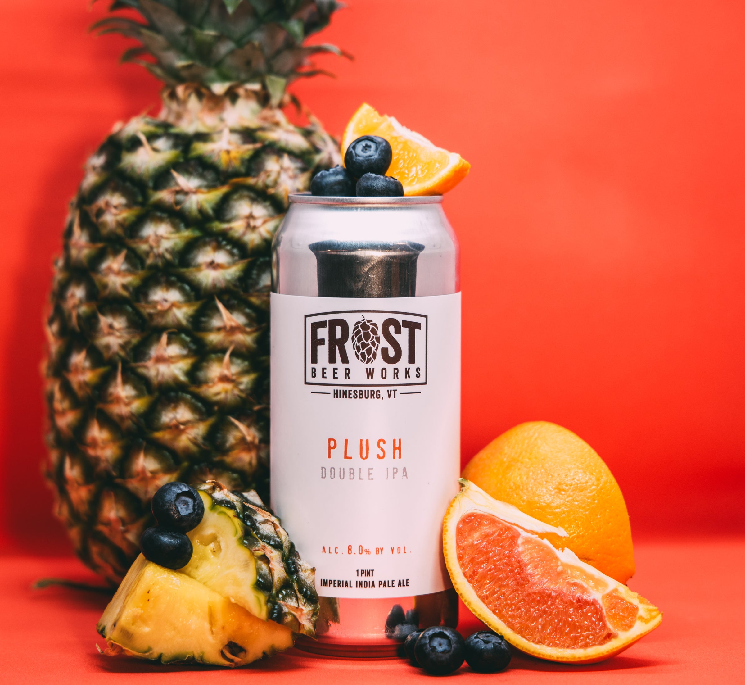 Plush 4Pack | Frost Beer Works